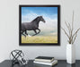 Edler schwarzer Hengst auf Wiese  auf Leinwandbild Quadratisch gerahmt mit Kirschblüten