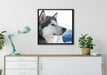 Süßer Husky im Schnee auf Leinwandbild gerahmt Quadratisch verschiedene Größen im Wohnzimmer