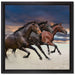 Drei wilde Westernpferde auf Leinwandbild Quadratisch gerahmt Größe 40x40