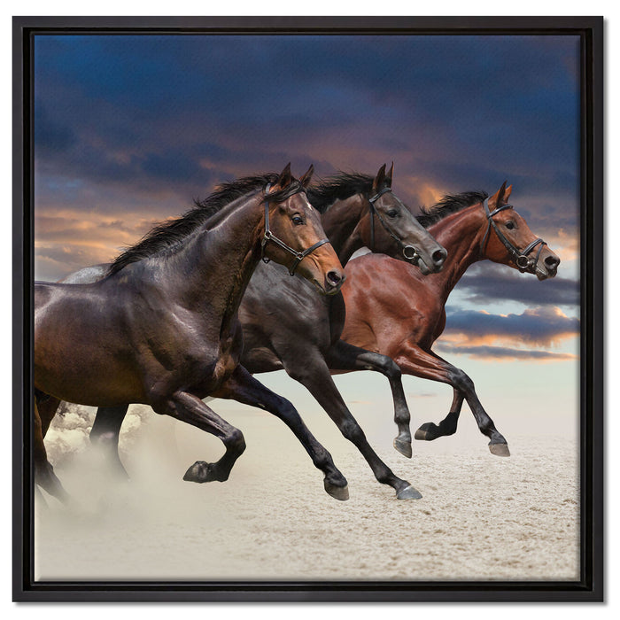 Drei wilde Westernpferde auf Leinwandbild Quadratisch gerahmt Größe 60x60