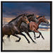 Drei wilde Westernpferde auf Leinwandbild Quadratisch gerahmt Größe 70x70