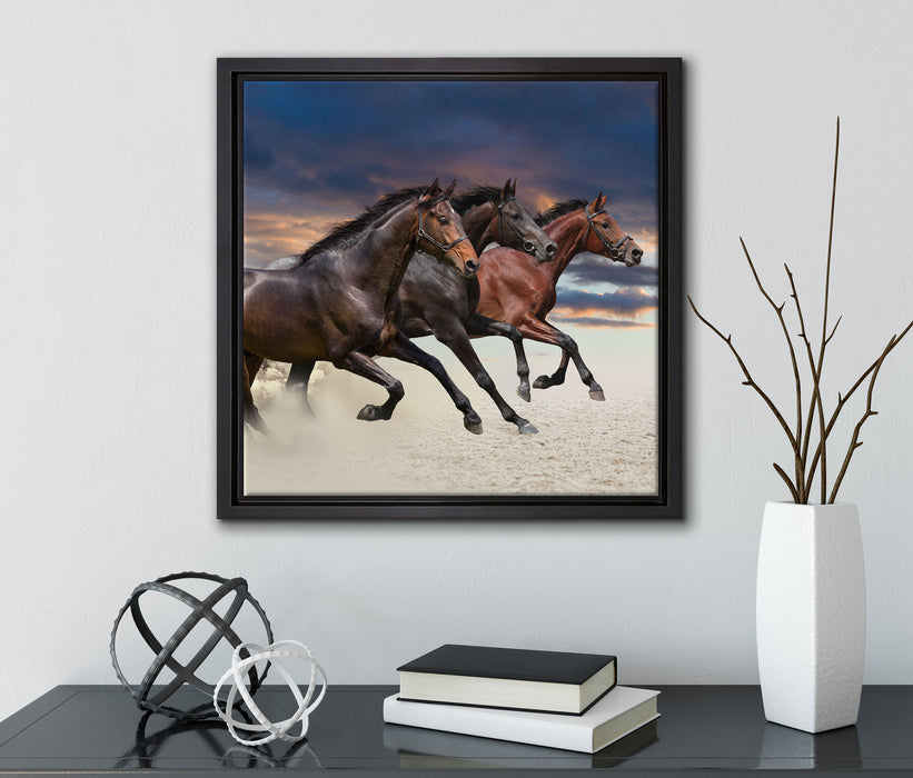 Drei wilde Westernpferde  auf Leinwandbild Quadratisch gerahmt mit Kirschblüten