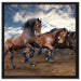 Wilde freie Pferde auf Leinwandbild Quadratisch gerahmt Größe 60x60