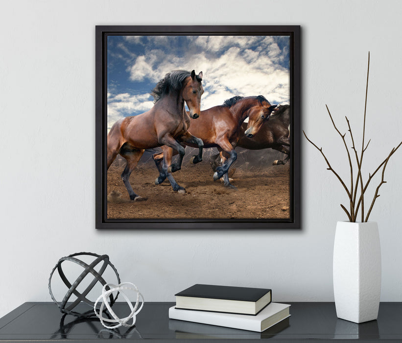 Wilde freie Pferde  auf Leinwandbild Quadratisch gerahmt mit Kirschblüten