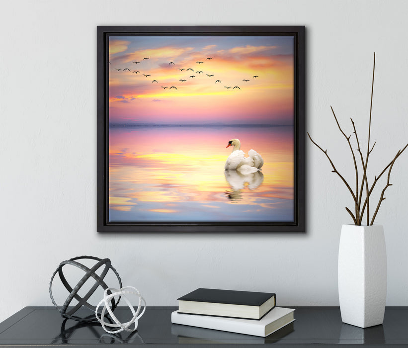 Schwan bei Sonnenuntergang  auf Leinwandbild Quadratisch gerahmt mit Kirschblüten