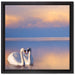 Schwäne in Abenddämmerung auf Leinwandbild Quadratisch gerahmt Größe 40x40