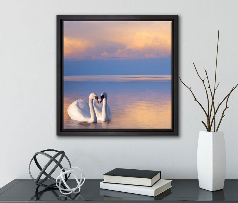 Schwäne in Abenddämmerung  auf Leinwandbild Quadratisch gerahmt mit Kirschblüten