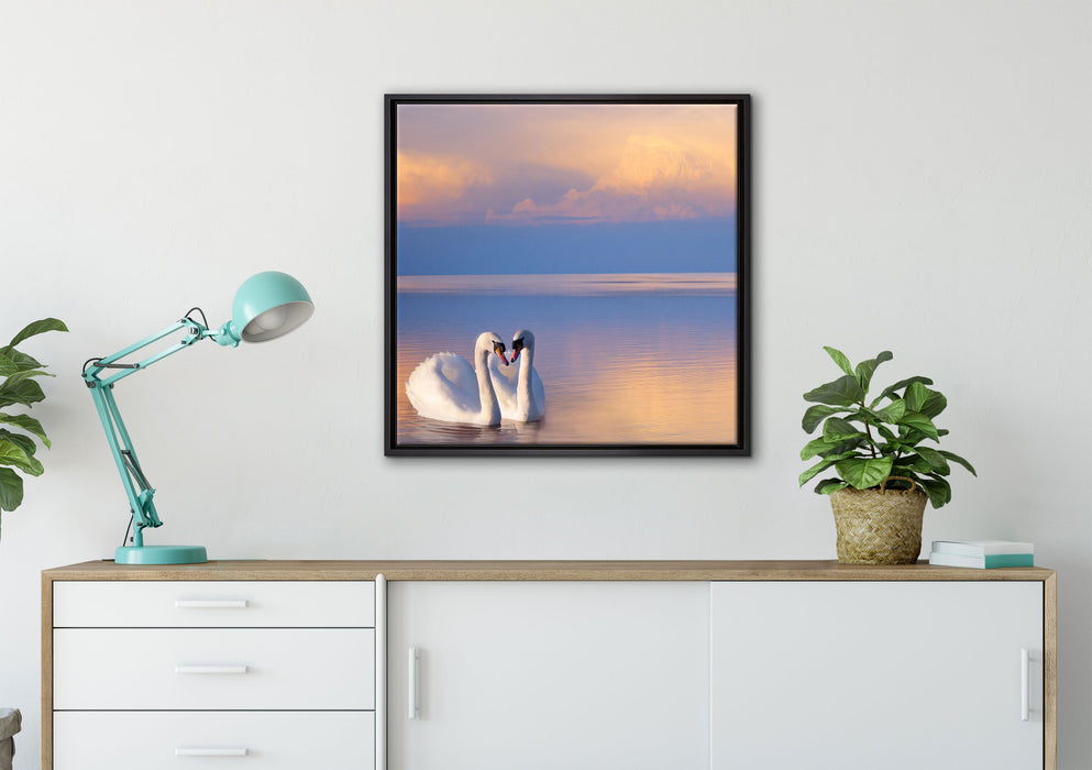 Schwäne in Abenddämmerung auf Leinwandbild gerahmt Quadratisch verschiedene Größen im Wohnzimmer