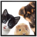 Trio Hund Katze Meerschwein auf Leinwandbild Quadratisch gerahmt Größe 70x70