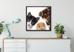 Trio Hund Katze Meerschwein auf Leinwandbild gerahmt Quadratisch verschiedene Größen im Wohnzimmer