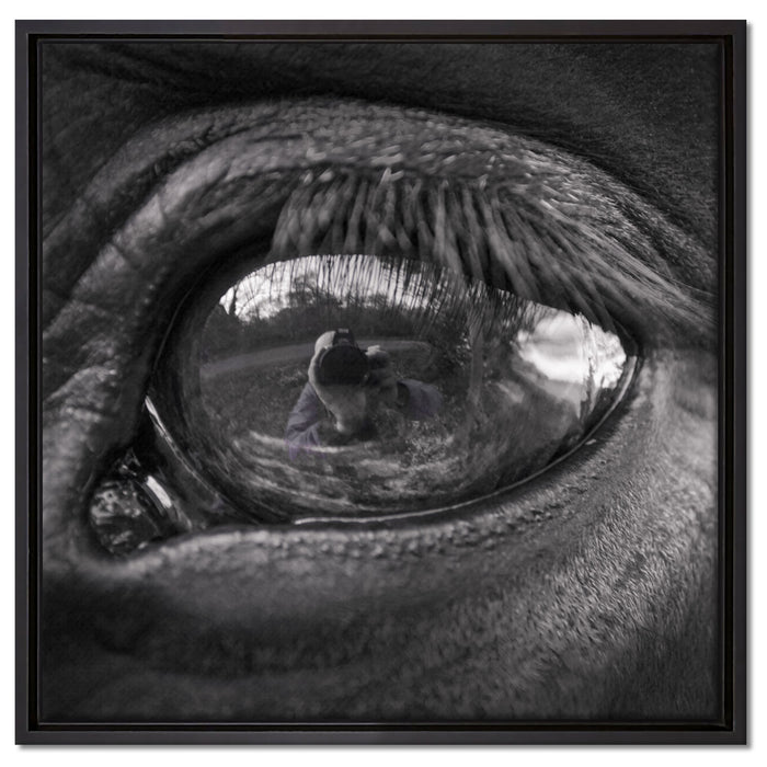 Auge schwarzer Hengst schwarz weiß auf Leinwandbild Quadratisch gerahmt Größe 60x60