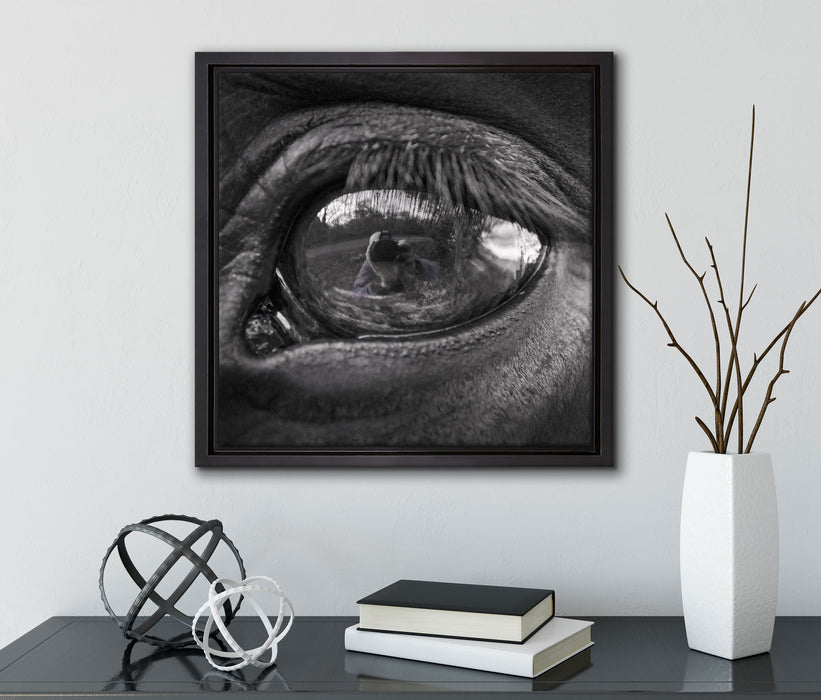 Auge schwarzer Hengst schwarz weiß  auf Leinwandbild Quadratisch gerahmt mit Kirschblüten