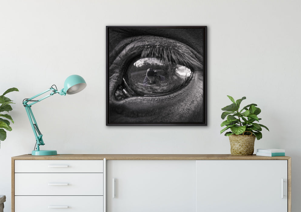 Auge schwarzer Hengst schwarz weiß auf Leinwandbild gerahmt Quadratisch verschiedene Größen im Wohnzimmer