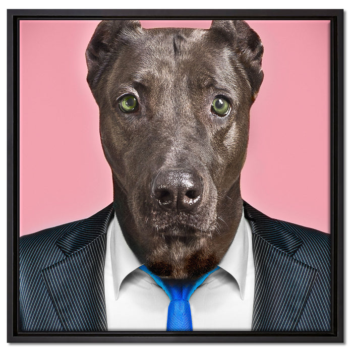 Manager Hund mit Anzug auf Leinwandbild Quadratisch gerahmt Größe 60x60
