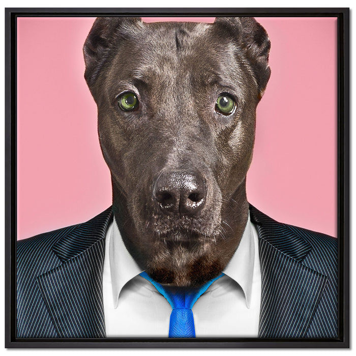 Manager Hund mit Anzug auf Leinwandbild Quadratisch gerahmt Größe 70x70