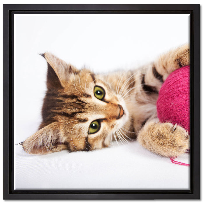 Kätzchen mit Wollknäuel auf Leinwandbild Quadratisch gerahmt Größe 40x40