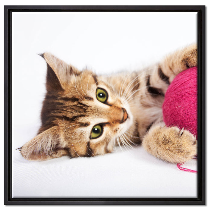 Kätzchen mit Wollknäuel auf Leinwandbild Quadratisch gerahmt Größe 60x60