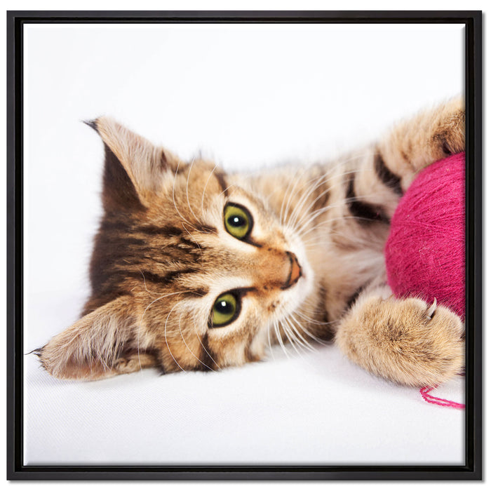 Kätzchen mit Wollknäuel auf Leinwandbild Quadratisch gerahmt Größe 70x70