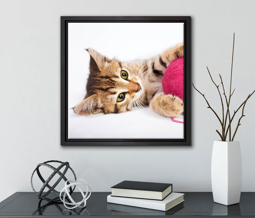 Kätzchen mit Wollknäuel  auf Leinwandbild Quadratisch gerahmt mit Kirschblüten