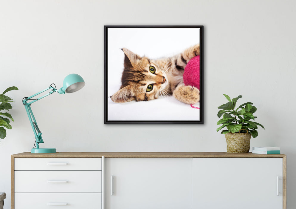 Kätzchen mit Wollknäuel auf Leinwandbild gerahmt Quadratisch verschiedene Größen im Wohnzimmer