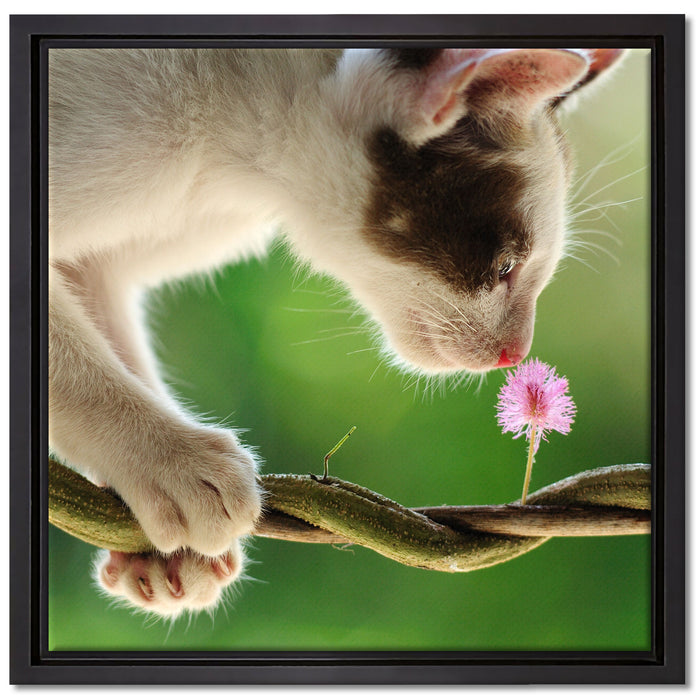 Süßes Kätzchen mit Blüte auf Leinwandbild Quadratisch gerahmt Größe 40x40