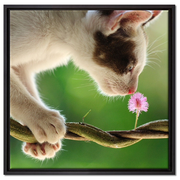 Süßes Kätzchen mit Blüte auf Leinwandbild Quadratisch gerahmt Größe 60x60