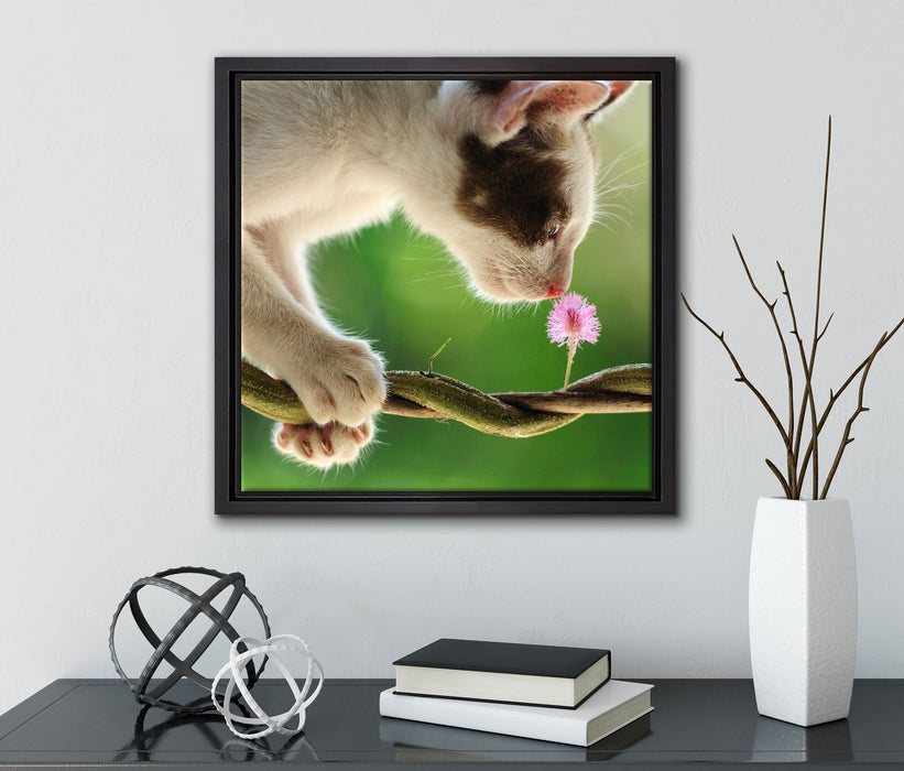 Süßes Kätzchen mit Blüte  auf Leinwandbild Quadratisch gerahmt mit Kirschblüten