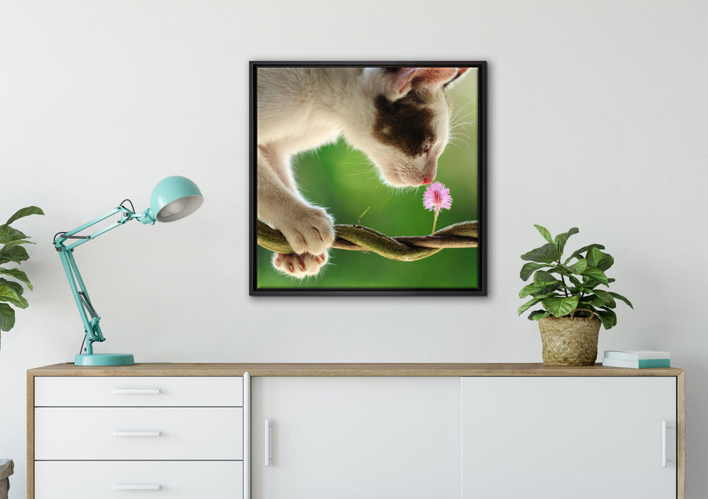 Süßes Kätzchen mit Blüte auf Leinwandbild gerahmt Quadratisch verschiedene Größen im Wohnzimmer
