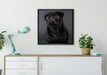 Süßer schwarzer Mops auf Leinwandbild gerahmt Quadratisch verschiedene Größen im Wohnzimmer