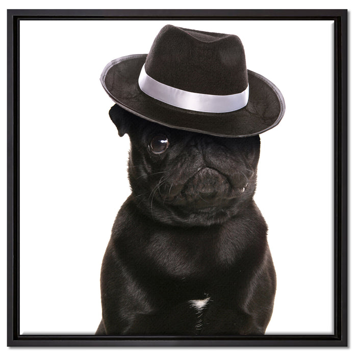 Mops mit Mafia Hut auf Leinwandbild Quadratisch gerahmt Größe 60x60