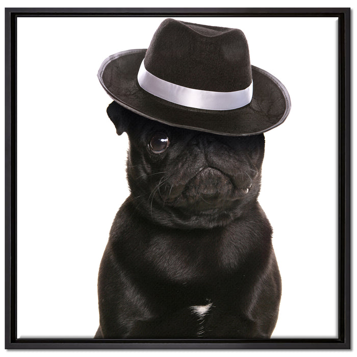 Mops mit Mafia Hut auf Leinwandbild Quadratisch gerahmt Größe 70x70