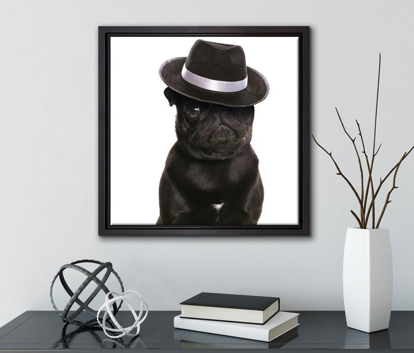 Mops mit Mafia Hut  auf Leinwandbild Quadratisch gerahmt mit Kirschblüten