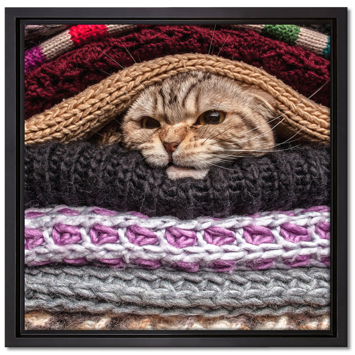 Katzen zwischen Pullovern auf Leinwandbild Quadratisch gerahmt Größe 40x40