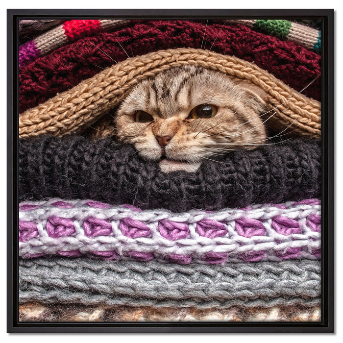 Katzen zwischen Pullovern auf Leinwandbild Quadratisch gerahmt Größe 60x60