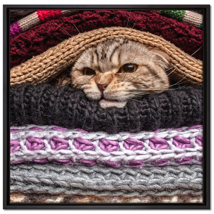 Katzen zwischen Pullovern auf Leinwandbild Quadratisch gerahmt Größe 70x70