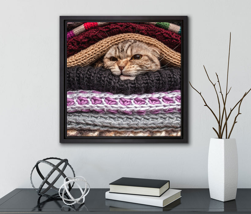 Katzen zwischen Pullovern  auf Leinwandbild Quadratisch gerahmt mit Kirschblüten