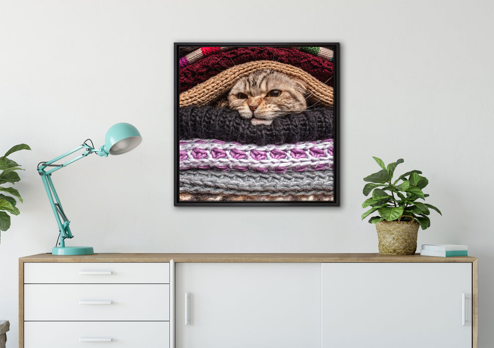 Katzen zwischen Pullovern auf Leinwandbild gerahmt Quadratisch verschiedene Größen im Wohnzimmer