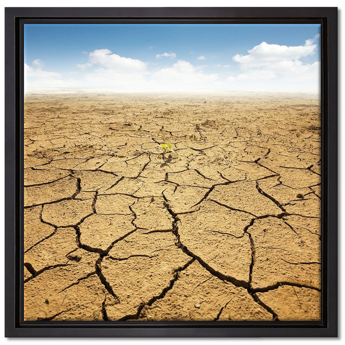 Rissiger Wüstenboden auf Leinwandbild Quadratisch gerahmt Größe 40x40