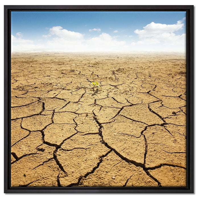 Rissiger Wüstenboden auf Leinwandbild Quadratisch gerahmt Größe 60x60