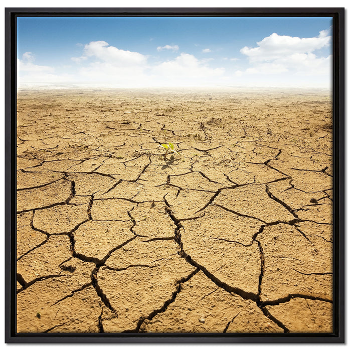 Rissiger Wüstenboden auf Leinwandbild Quadratisch gerahmt Größe 70x70