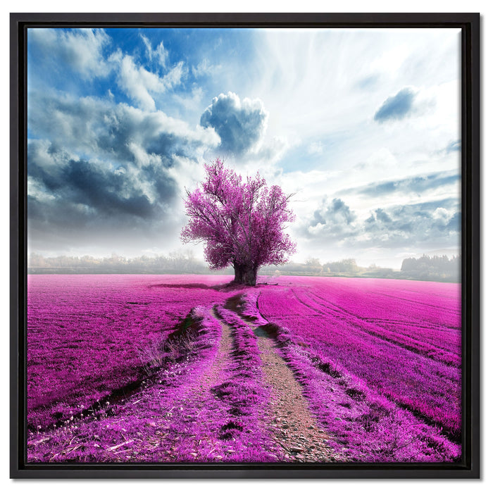 Pinkes Feld mit pinkem Baum auf Leinwandbild Quadratisch gerahmt Größe 60x60