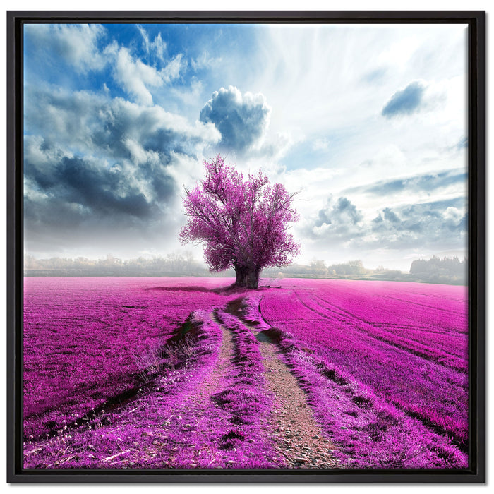 Pinkes Feld mit pinkem Baum auf Leinwandbild Quadratisch gerahmt Größe 70x70