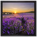 Lavendelfeld in Frankreich auf Leinwandbild Quadratisch gerahmt Größe 40x40