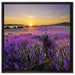 Lavendelfeld in Frankreich auf Leinwandbild Quadratisch gerahmt Größe 60x60