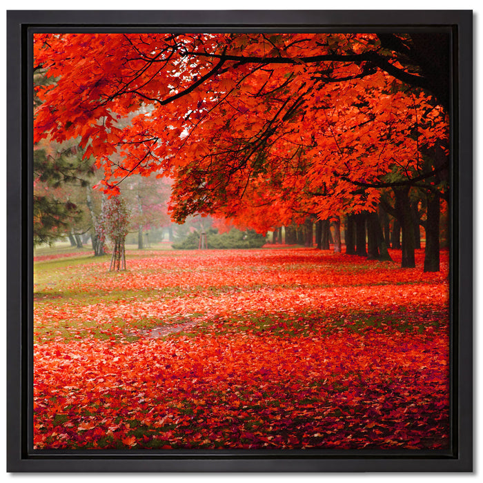 Rot gefärbter Park im Herbst auf Leinwandbild Quadratisch gerahmt Größe 40x40