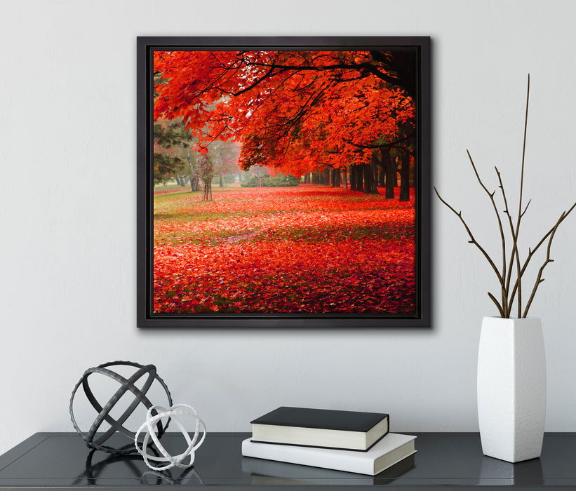 Rot gefärbter Park im Herbst  auf Leinwandbild Quadratisch gerahmt mit Kirschblüten