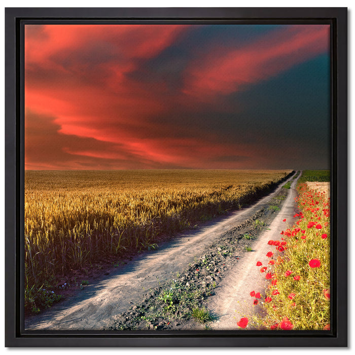 Getreidefeld mit Mohnblüten auf Leinwandbild Quadratisch gerahmt Größe 40x40