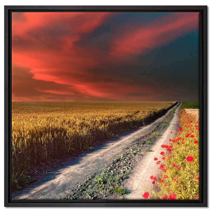 Getreidefeld mit Mohnblüten auf Leinwandbild Quadratisch gerahmt Größe 60x60