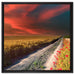 Getreidefeld mit Mohnblüten auf Leinwandbild Quadratisch gerahmt Größe 60x60