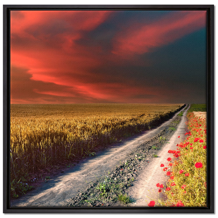 Getreidefeld mit Mohnblüten auf Leinwandbild Quadratisch gerahmt Größe 70x70